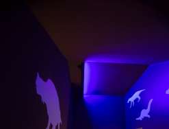 Ausstellungserweiterung Geopark Karnische Alpen