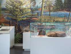 Ausstellungserweiterung Geopark Karnische Alpen